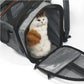 Pet Voyage: the Ultimate Multi-Purpose Travel Companion for Cats and Dogs